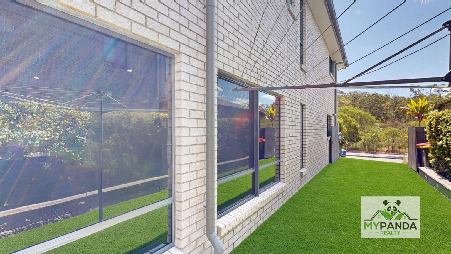 Backyard_7