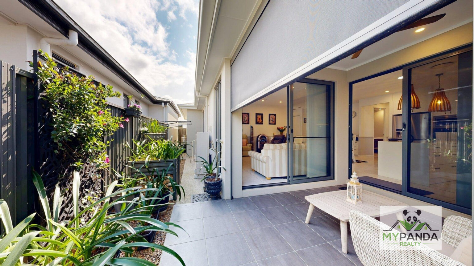 Backyard_3